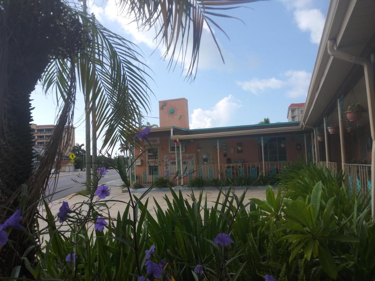 Michaels Siesta Motel Сейнт Питърсбърг Екстериор снимка